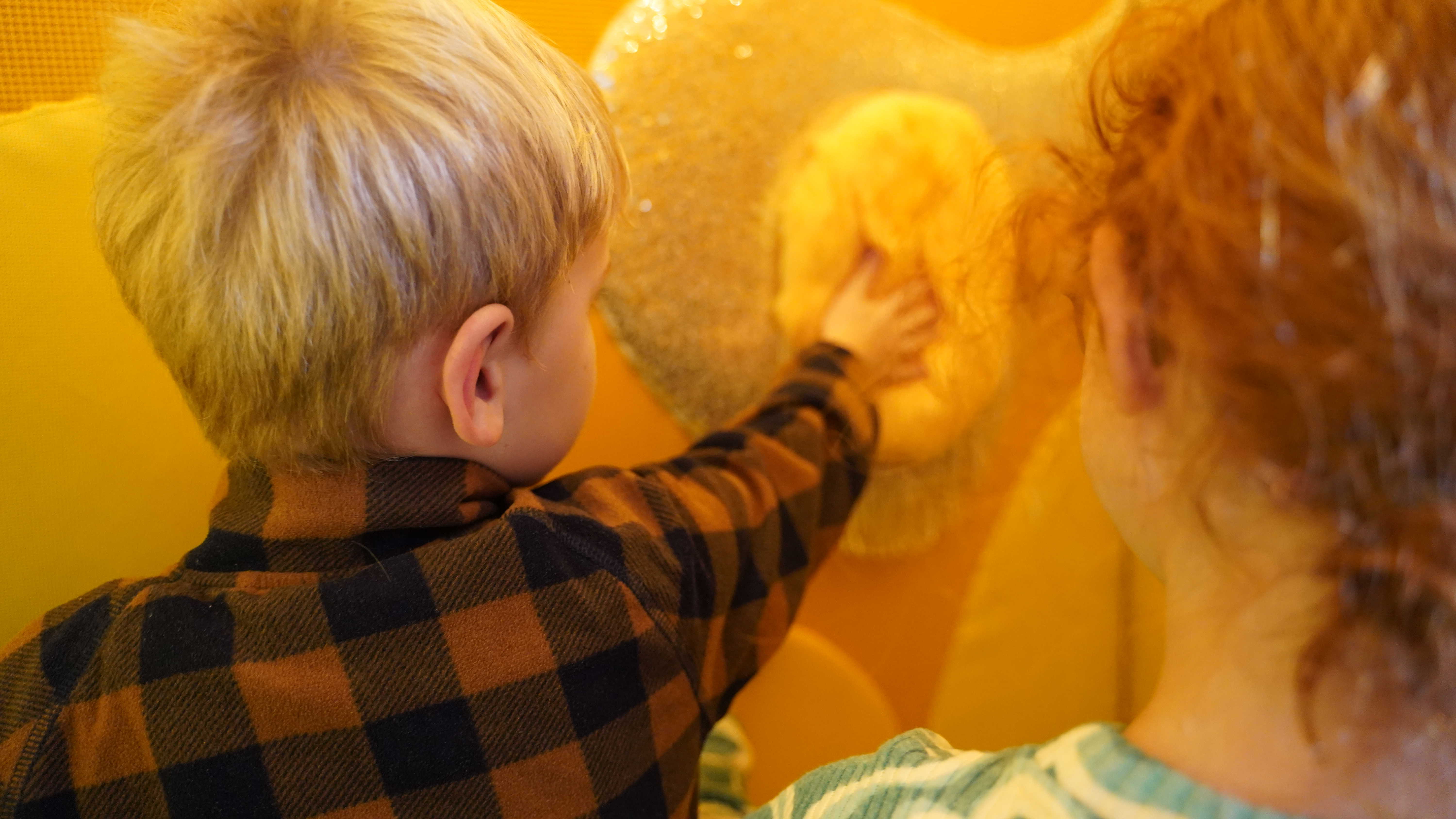 Børn sanser i udstilling